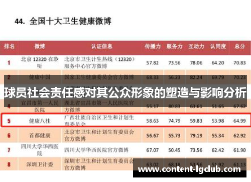 球员社会责任感对其公众形象的塑造与影响分析