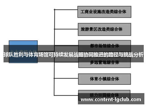 球队胜利与体育场馆可持续发展战略协同推进的路径与挑战分析