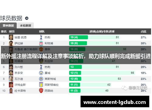 新外援注册流程详解及注意事项解析，助力球队顺利完成新援引进