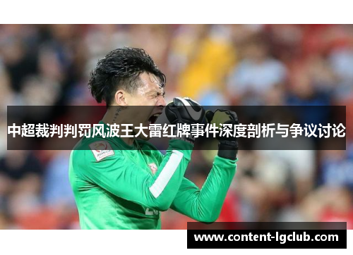 中超裁判判罚风波王大雷红牌事件深度剖析与争议讨论