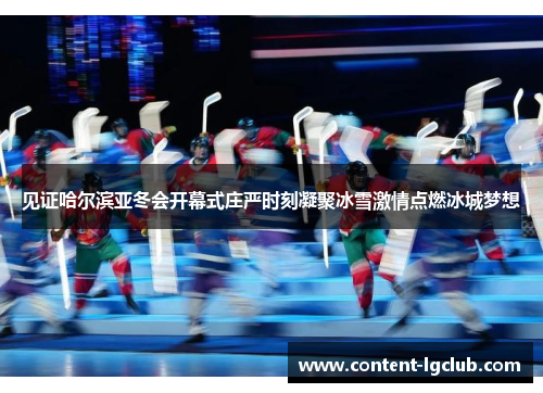 见证哈尔滨亚冬会开幕式庄严时刻凝聚冰雪激情点燃冰城梦想