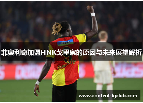 菲奥利奇加盟HNK戈里察的原因与未来展望解析