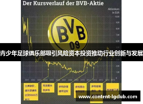 青少年足球俱乐部吸引风险资本投资推动行业创新与发展