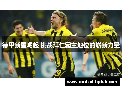 德甲新星崛起 挑战拜仁霸主地位的崭新力量
