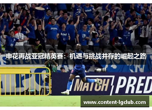 申花再战亚冠精英赛：机遇与挑战并存的崛起之路